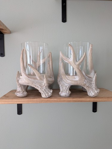 Natural antler coastal washed - antler,